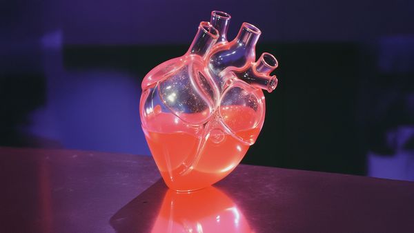 L’elisir d’amore